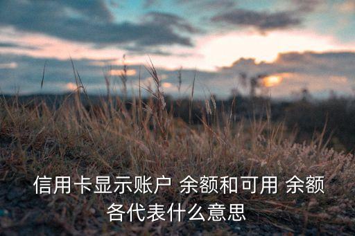  信用卡顯示賬戶(hù) 余額和可用 余額各代表什么意思