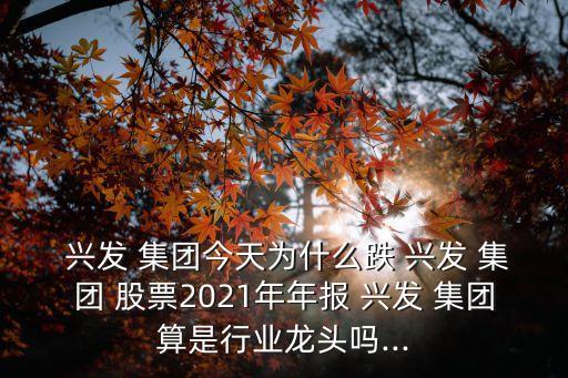  興發(fā) 集團今天為什么跌 興發(fā) 集團 股票2021年年報 興發(fā) 集團算是行業(yè)龍頭嗎...