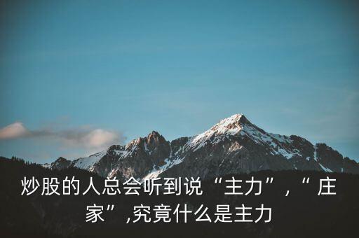 股票里的莊家是什么