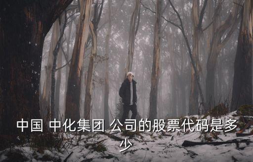 中國 中化集團(tuán) 公司的股票代碼是多少