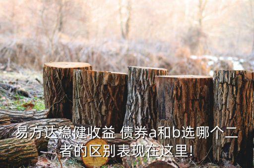 易達方投資級信用債券a