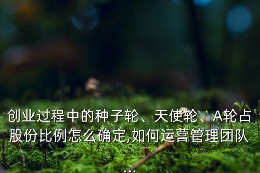 創(chuàng)業(yè)過程中的種子輪、天使輪、A輪占股份比例怎么確定,如何運營管理團隊...