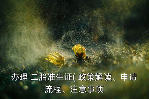 辦理 二胎準(zhǔn)生證( 政策解讀、申請(qǐng)流程、注意事項(xiàng)