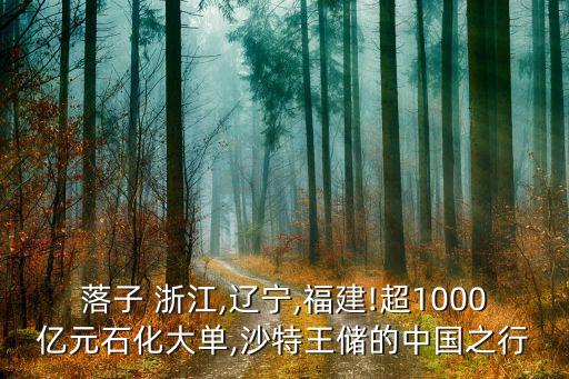 落子 浙江,遼寧,福建!超1000億元石化大單,沙特王儲(chǔ)的中國(guó)之行