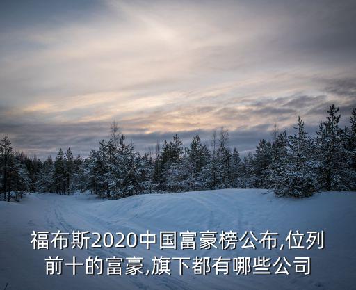 福布斯2020中國富豪榜公布,位列前十的富豪,旗下都有哪些公司