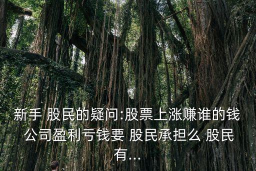 上市公司和股民的關(guān)系
