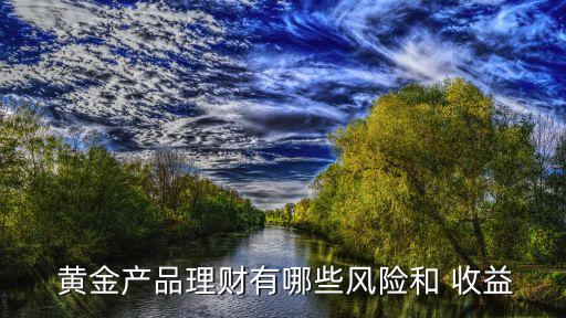  黃金產(chǎn)品理財有哪些風險和 收益