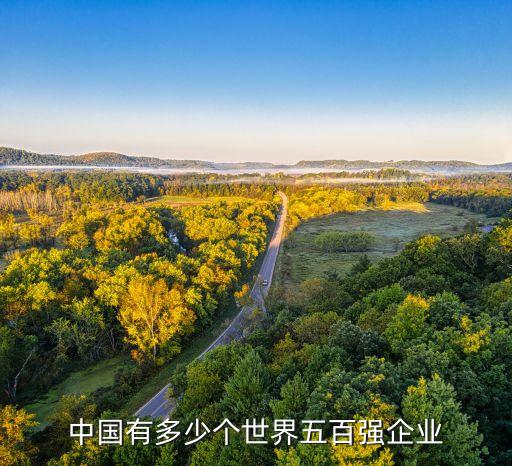 中國有多少個(gè)世界五百強(qiáng)企業(yè)