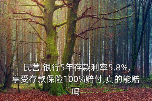  民營 銀行5年存款利率5.8%,享受存款保險(xiǎn)100%賠付,真的能賠嗎