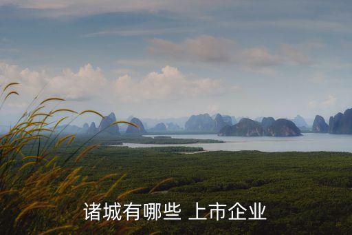 諸城有哪些 上市企業(yè)
