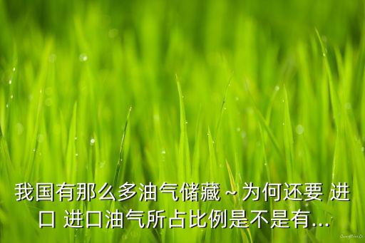 中國自己沒有石油嗎怎么還進(jìn)口,中國石油怎么自己加油