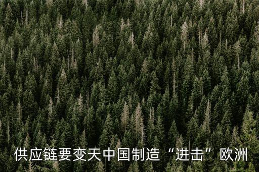 王府井中國供應鏈