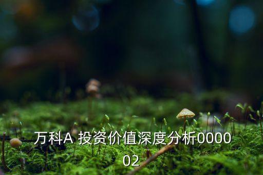  萬(wàn)科A 投資價(jià)值深度分析000002