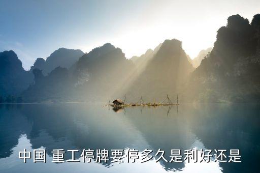 中國重工三季度業(yè)績(jī),大金重工二季度業(yè)績(jī)預(yù)告
