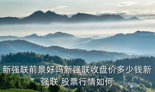 新強(qiáng)聯(lián)前景好嗎新強(qiáng)聯(lián)收盤價多少錢新強(qiáng)聯(lián) 股票行情如何