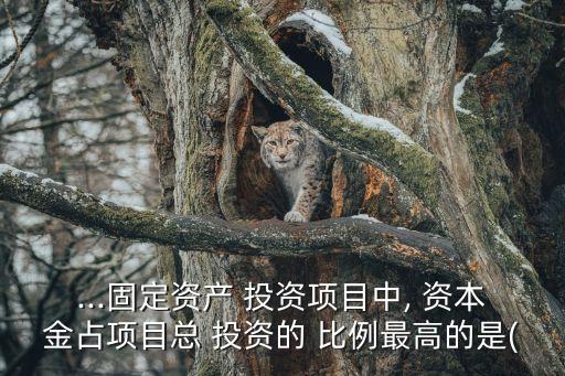 ...固定資產(chǎn) 投資項(xiàng)目中, 資本金占項(xiàng)目總 投資的 比例最高的是(