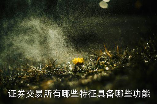  證券交易所有哪些特征具備哪些功能