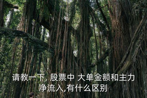 請教一下, 股票中 大單金額和主力凈流入,有什么區(qū)別