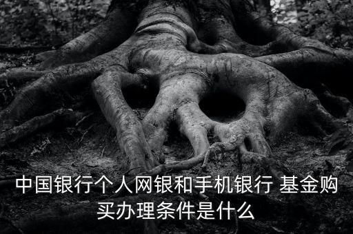 中國(guó)銀行個(gè)人網(wǎng)銀和手機(jī)銀行 基金購(gòu)買辦理?xiàng)l件是什么