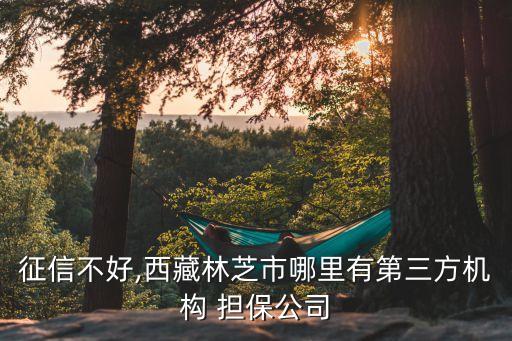 中資銀信擔(dān)保有限公司,浙江光信工程擔(dān)保集團(tuán)有限公司