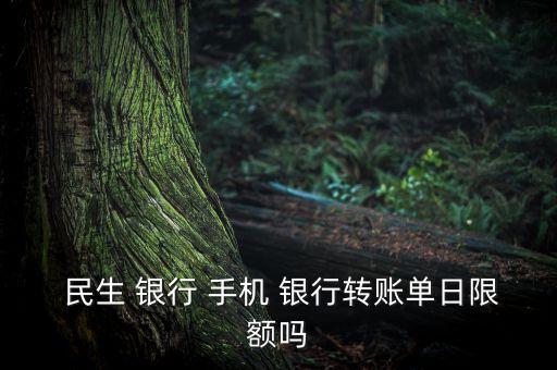 民生手機(jī)銀行使用率,中國民生手機(jī)銀行下載app