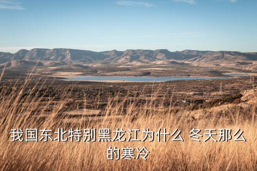 中國(guó)冬天為什么會(huì)冷,現(xiàn)在冬天為什么不冷了