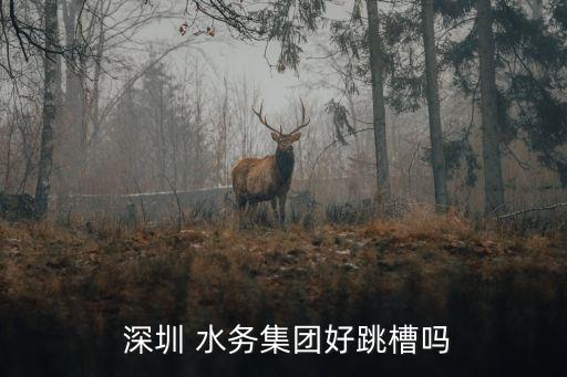 中國電建水務(wù)投資深圳
