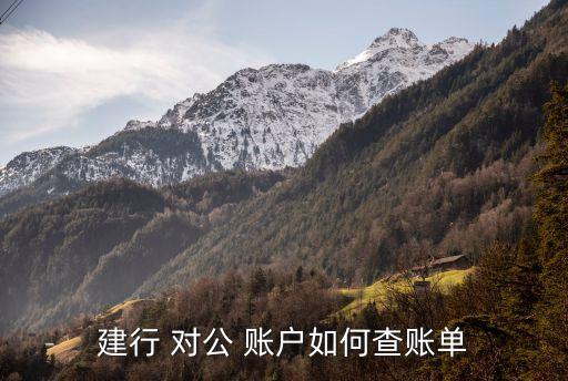 建設(shè)銀行對公賬戶怎樣下載電子回單