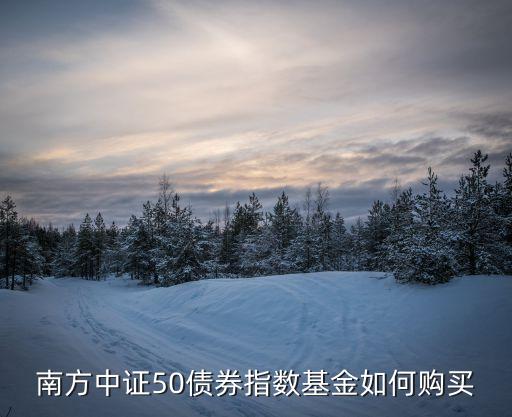 南方中證50債券指數(shù)基金如何購(gòu)買(mǎi)