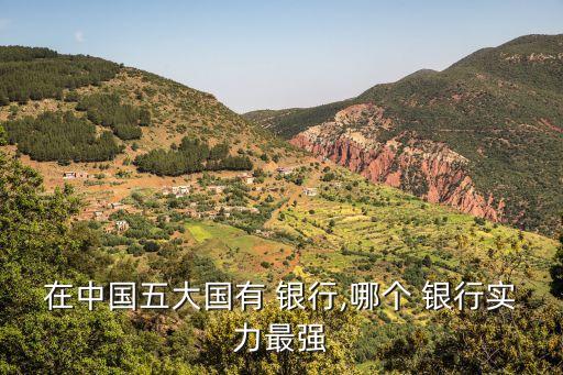 在中國五大國有 銀行,哪個 銀行實力最強