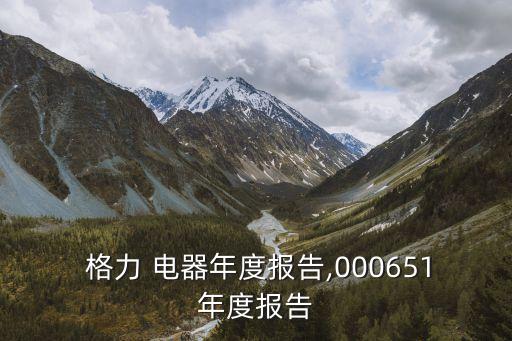 珠海格力電器股份有限公司主營業(yè)務(wù)