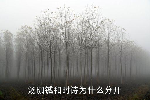 湯珈鋮和時(shí)詩(shī)為什么分開(kāi)