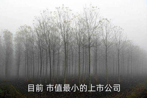 中小市值股票有哪些2015,什么叫中小市值股票