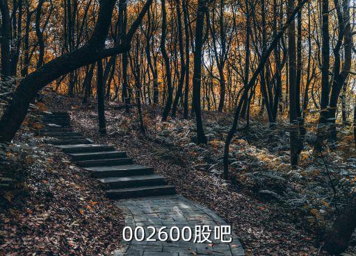 中國軟件股吧