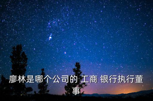 廖林是哪個(gè)公司的 工商 銀行執(zhí)行董事