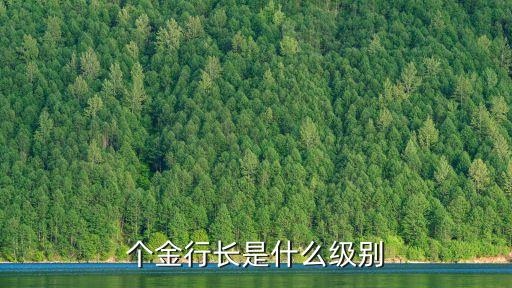 中國(guó)銀行個(gè)金部好嗎
