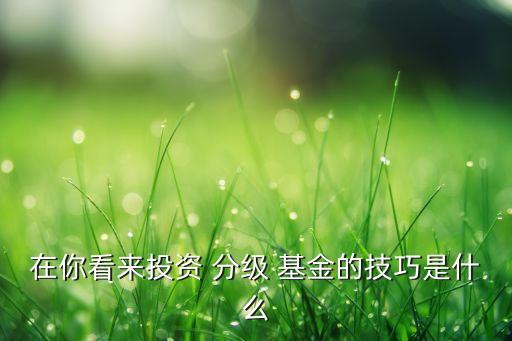 分級基金問題,現(xiàn)在還有分級基金嗎