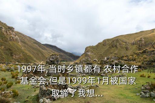 1997年,當(dāng)時(shí)鄉(xiāng)鎮(zhèn)都有 農(nóng)村合作 基金會(huì),但是1999年1月被國家取締了我想...