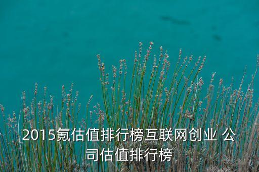2015氪估值排行榜互聯(lián)網(wǎng)創(chuàng)業(yè) 公司估值排行榜