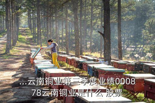 銅冶煉概念股票