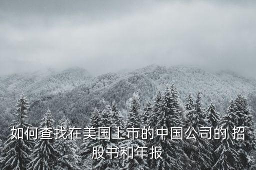如何查找在美國上市的中國公司的 招股書和年報(bào)