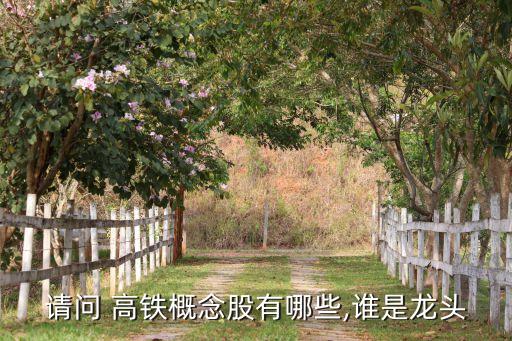 高鐵的股票有哪些,超級高鐵相關(guān)股票有哪些