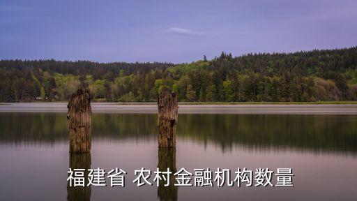  福建省 農村金融機構數(shù)量