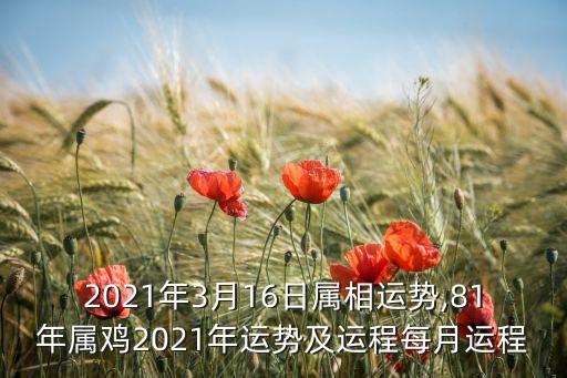 2021年3月16日屬相運(yùn)勢(shì),81年屬雞2021年運(yùn)勢(shì)及運(yùn)程每月運(yùn)程