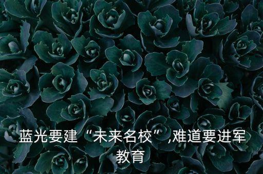 藍(lán)光集團(tuán)審計,集團(tuán)審計部門的職責(zé)