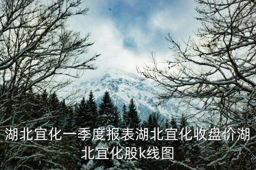 湖北宜化一季度報(bào)表湖北宜化收盤價(jià)湖北宜化股k線圖
