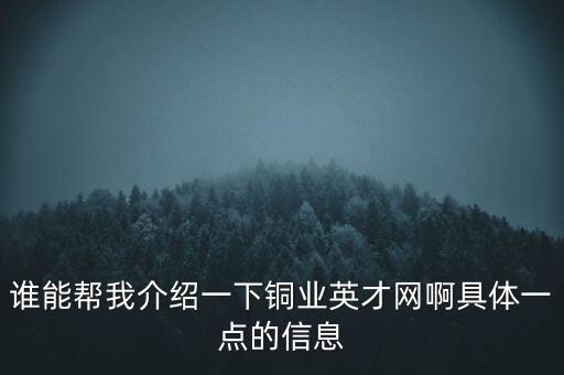 誰能幫我介紹一下銅業(yè)英才網(wǎng)啊具體一點(diǎn)的信息