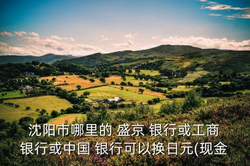  沈陽市哪里的 盛京 銀行或工商 銀行或中國 銀行可以換日元(現金