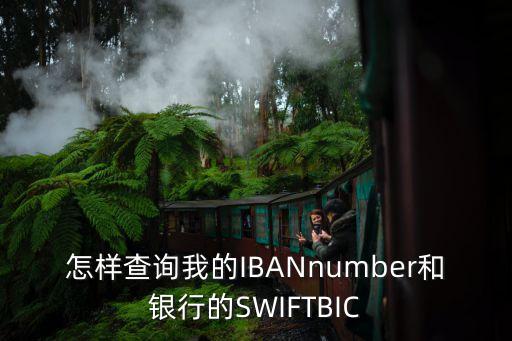 怎樣查詢(xún)我的IBANnumber和銀行的SWIFTBIC