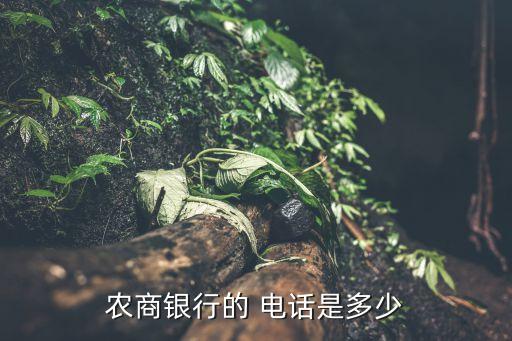 皖東農(nóng)村商業(yè)銀行客服電話(huà),農(nóng)村商業(yè)銀行客服電話(huà)9559